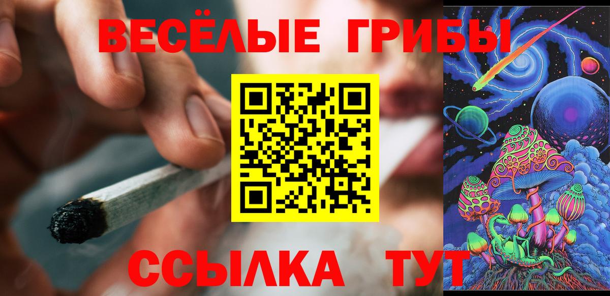 Псилоцибиновые грибы Magic Shrooms  купить   Новодвинск  Вход с VPN 
